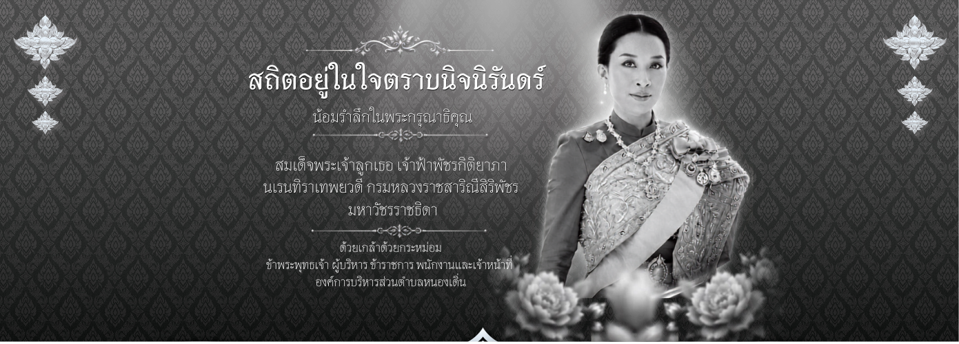 ประชาสัมพันธ์การให้บริการ e-service ขององค์การบริหารส่วนตําบลหนองเดิ่น